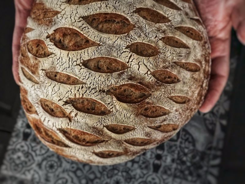 MAYA BAKERY FOTOĞRAF 6